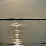 Tyc
